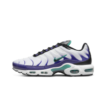 Nike Air Max Plus (DM0032-100)