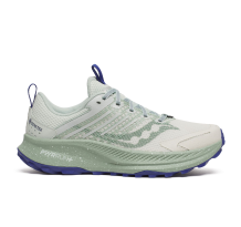 Saucony Ride TR2 GTX (S10953-260)