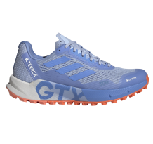 adidas Originals Agravic Flow 2 GTX (HR1147) in blau