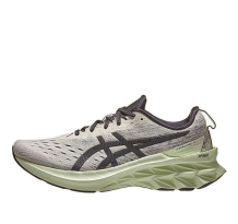 Asics Novablast 2 (1011B192 200)