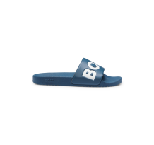 BOSS Logo Slides (50536835415)