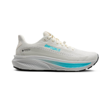 Brooks Ghost 17 GTX (120451-1B-138)