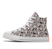 Converse Chuck Taylor All Star Big Grey (669290C)