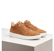 Lloyd 2221831 (2221832)