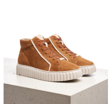 Lloyd 2223131 (2223132)