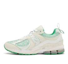 New Balance GANNI x 2002R Turtledove (M2002RGC)