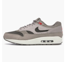 Nike Air Max 1 Cut Out Swoosh Moon Particle (875844-205)