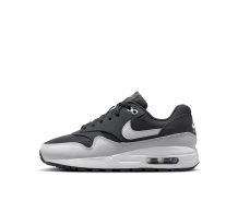 Nike Air Max 1 (DZ3307-008)