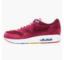 Nike Air Max 1 Parra Patta Cherrywood (394805-600)