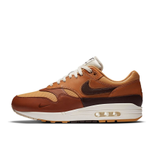 Nike Air Max 1 SNKRS Day (DA4302-700)