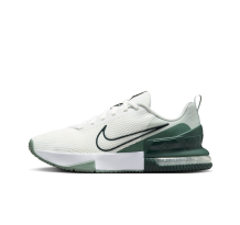 Nike Air Max Alpha Trainer 6 (FQ1833-108)