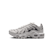 Nike Air Max Plus ältere (FZ0977-001) in grau