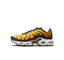 Nike Air Max Plus (CD0609-029) in schwarz