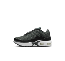 Nike Air Max Plus (CD0610-302) in grün