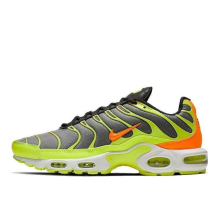 Nike Air Max Plus Color Flip Pack (CI5924-061)