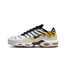 Nike Air Max Plus (DM0032-104)