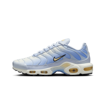 Nike Air Max Plus (DZ3670-004)