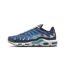 Nike Air Max Plus Dark Obsidian (IH4460-400)