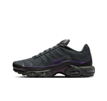 Nike Air Max Plus OG (HV8066-001)