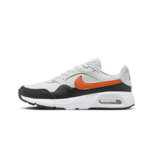 Nike Air Max SC (CW4555-018) in grau