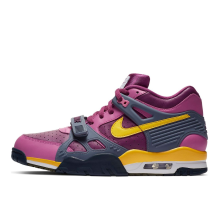 Nike Air Trainer 3 Retro 2020 (CZ6393 500)