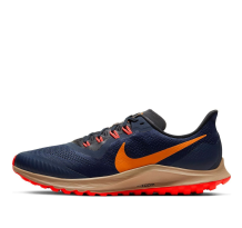 Nike Air Zoom Pegasus 36 Trail (AR5677-403)