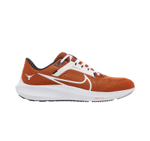 Nike Air Zoom Pegasus 40 (DZ5951 100)