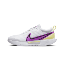 Nike ZOOM COURT PRO HC (DV3285-101) in bunt