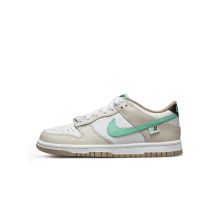 Nike Dunk Low GS (DX6063 131) in weiss