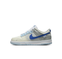 Nike Dunk Low GS (FB1843 141)