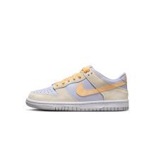 Nike Dunk Low GS (FB9109-100) in weiss