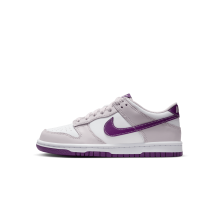 Nike Dunk Low (FB9109-104) in weiss