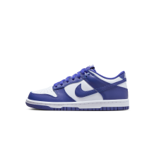 Nike Dunk Low (FB9109 106) in blau