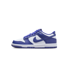 Nike Dunk Low GS (FB9109 106) in weiss