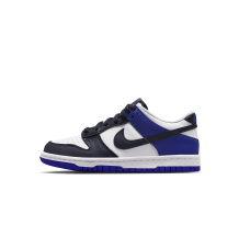 Nike Dunk Low (FB9109-129)