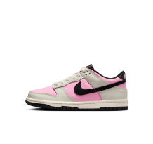 Nike Dunk Low (FB9109-601)