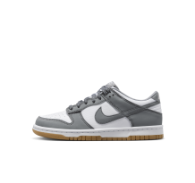 Nike Dunk Low GS (FV0374-100)