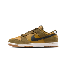 Nike Dunk Low SE Retro (IB6399-300)