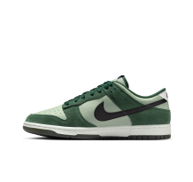 Nike Dunk Low Retro SE (IB6399-301)