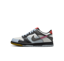 Nike Dunk Low GS (FJ2686-100)