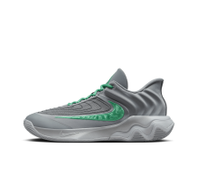 Nike Giannis Immortality 4 (FQ3680-002) in grau