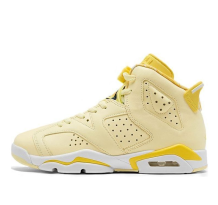 Jordan 6 Retro (543390-800)