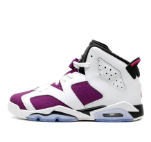 Jordan 6 Retro GG (543390-127)