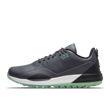 Jordan ADG 3 Golf Grey Green Glow (CW7242-002)