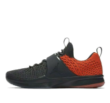 Jordan Trainer 2 Flyknit (921210-012)