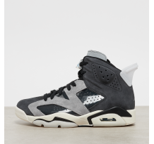 Jordan WMNS Air 6 Tech Chrome Retro (CK6635-001)