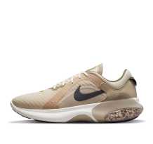 Nike Joyride Dual Run2 Garcinia Sail Ephedra (DO5224-201)