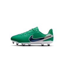 Nike Legend 10 Academy LV8 MG Fear Nothing Tiempo (HJ7190-300)
