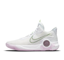 Nike KD Trey 5 IX Light (DJ6921-100)