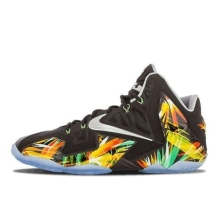 Nike LeBron 11 Everglades (616175-006)